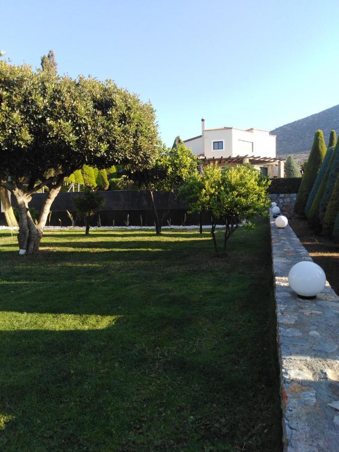 Golden Crest Villa Hersonissos  Ngoại thất bức ảnh